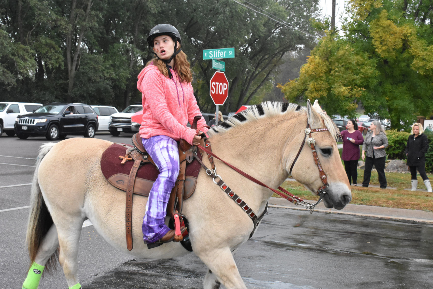 Homecoming steed